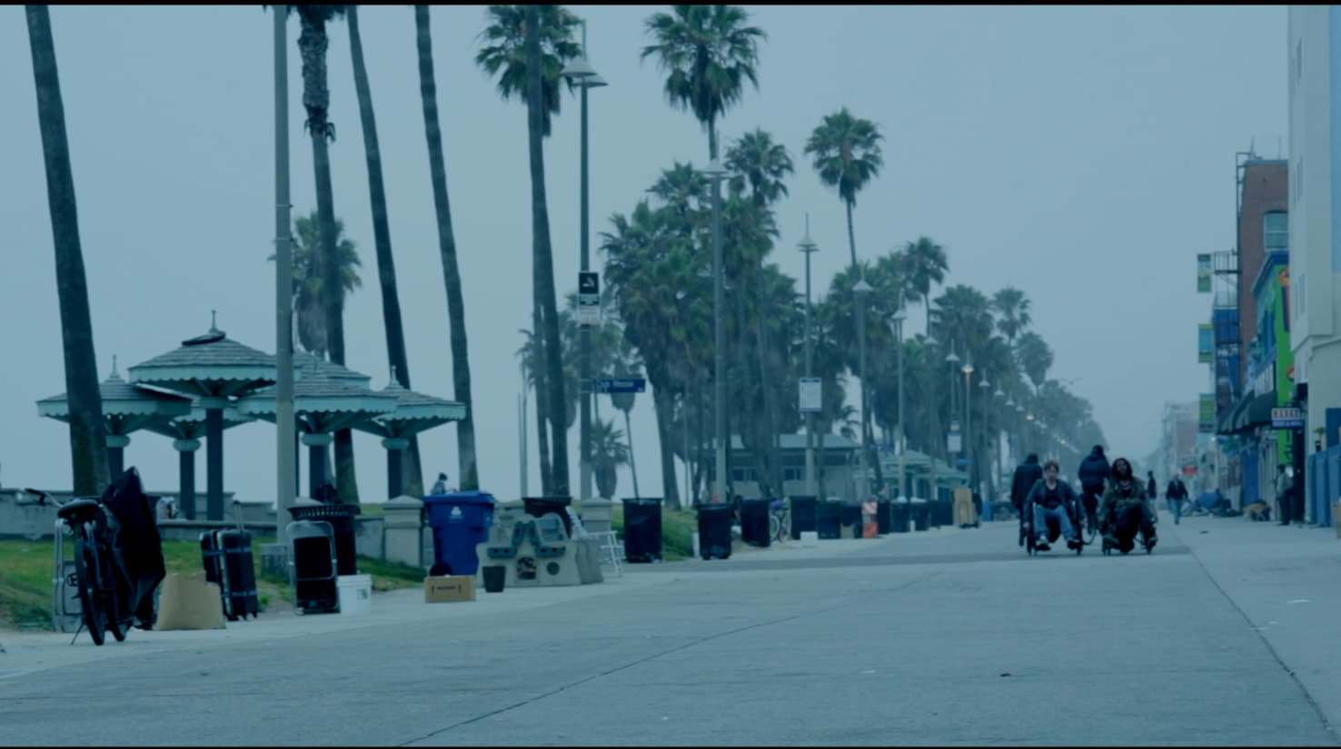 Mickey and Drake on Venice Beach